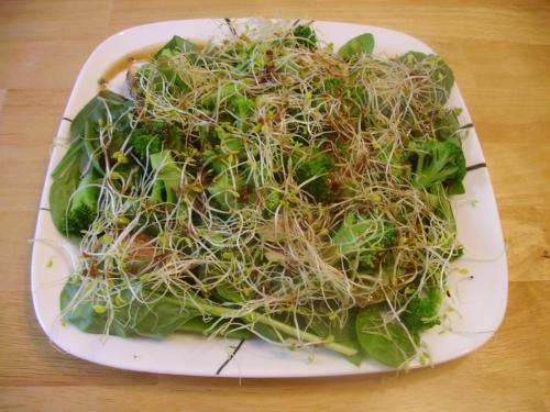 Sesame Sprout Green Salad